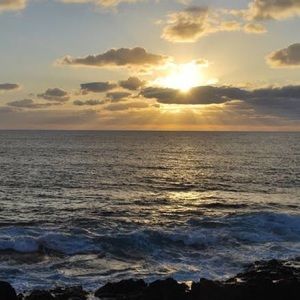 Meet your Posher, Stephy